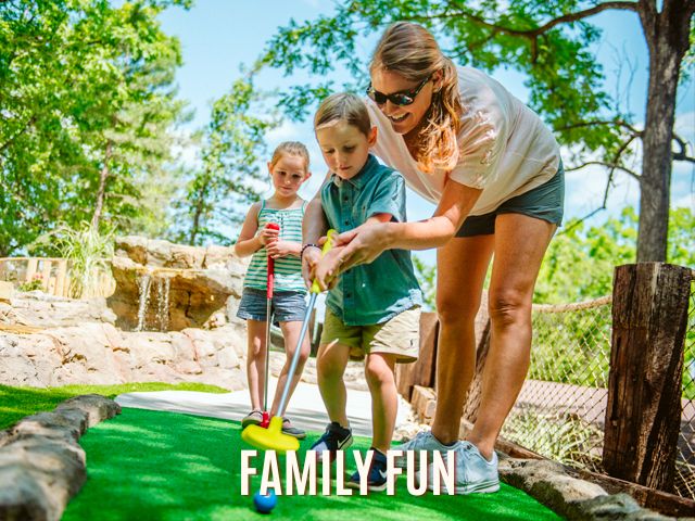 Family Fun