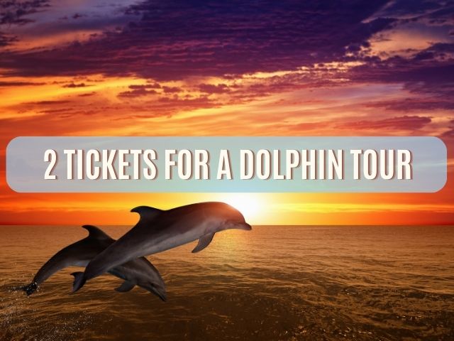 2 Dolphin Tour Tickets